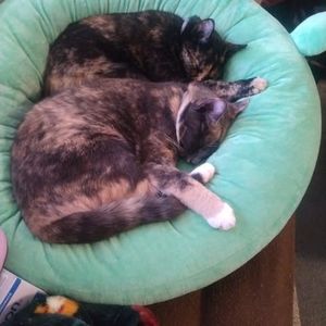 Meet your Posher, Debra